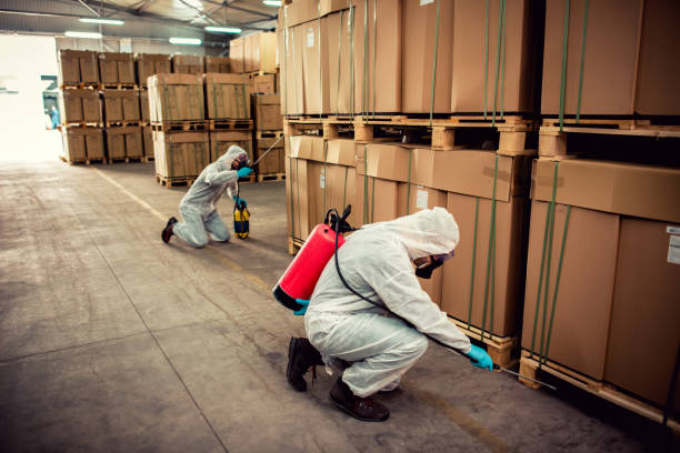 Best Residential Pest Control  in Glenwood, IL