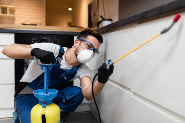 Best Local Pest Control Services  in Glenwood, IL