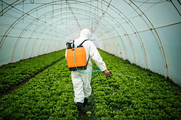 Best Best Pest Control Companies  in Glenwood, IL