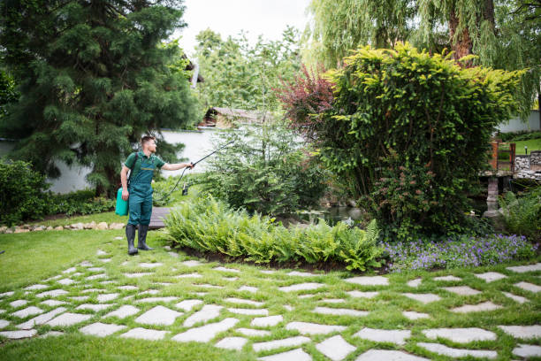 Trusted Glenwood, IL Pest Control Experts