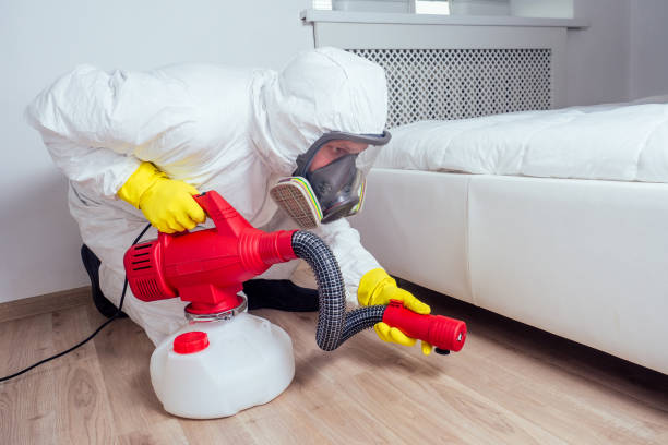 Best Bed Bug Extermination  in Glenwood, IL