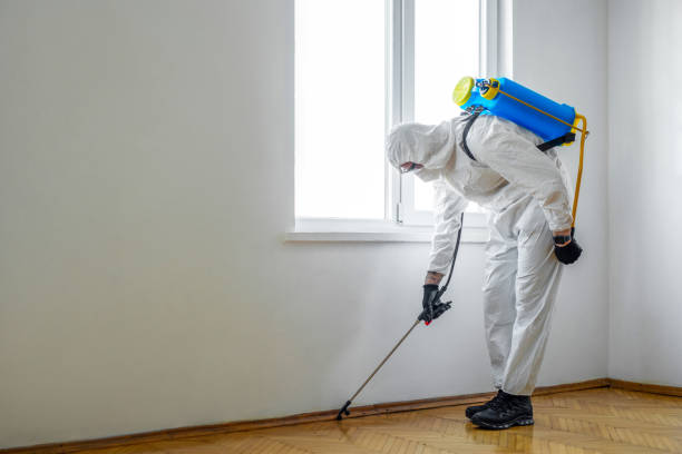Best Pest Removal Services  in Glenwood, IL