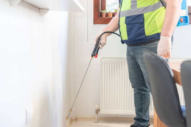 Best Termite Control Services  in Glenwood, IL