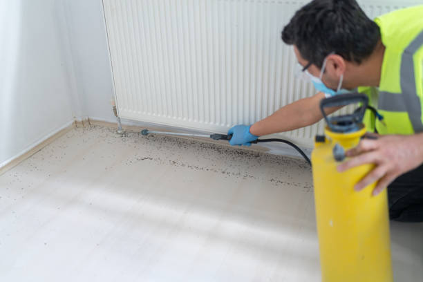 Best Wasp Removal Services  in Glenwood, IL